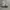 Nike Sportswear Casual Sneakers Pria white black photo 6