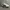 Nike Sportswear Casual Sneakers Pria white black photo 5