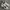 Nike Sportswear Casual Sneakers Pria white black photo 1