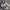 Nike Sportswear Casual Sneakers Pria White Black