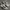 Nike Sportswear Casual Sneakers Pria white black photo 2