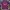 Jersey Barca Barcelona 2019 2020 photo 1