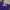 Jersey Barca Barcelona 2019 2020 photo 4