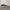 Nike Mercurial VAPOR 15 AG PRO  photo 5