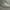 Puma Streetwear Casual Sneakers Pria white photo 5