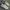Puma Streetwear Casual Sneakers Pria white photo 1