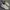 Puma Streetwear Casual Sneakers Pria White