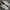 Puma Streetwear Casual Sneakers Pria White