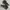 Nike Streetwear Casual Sneakers Pria black photo 3