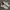 Reebok Streetwear Casual Sneakers Pria White