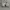 Reebok Streetwear Casual Sneakers Pria white photo 6