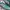 ADIDAS HANDBALL SPEZIAL GREEN PINK photo 2