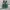 ADIDAS HANDBALL SPEZIAL GREEN PINK photo 3