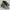 Nike Streetwear Casual Sneakers Pria black photo 1