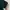 Polo Shirt Topten Basic Hijau Botol Dark Green Kaos Krah photo 4