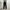 Adidas Sportswear Tracksuit Pria black photo 3