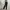 Adidas Sportswear Tracksuit Pria black photo 2
