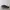 Nike Airmax DN ( With BOX )