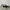 Compass Velocity Black Authentic photo 1