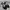 Compass Velocity Black Authentic photo 4