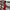 Red Midi Sun Wrap Dress