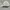 Caps Adidas Trifoil Big Logo White Topi Adidas Trifoil