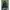 Luxury Midi dress Wanita black photo 1