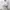 Lululemon Sport bra dot 4 warna mint photo 2