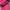 Dress Leher Congsam Midi Pink The Closet Lover Preloved photo 6
