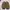 sendal clog photo 3