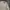 Vintage Y2K Harrington jacket Pria cream photo 4