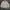 Vintage Y2K Harrington jacket Pria cream photo 3