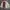 Vintage Y2K Harrington Jacket Pria Cream