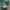 Santa Cruz Skateboards Vintage Streetwear Jumper Pria green photo 3