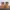 Dickies yellow martin boots photo 4