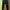 JINISO SIZE 29 photo 1