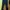 JINISO SIZE 29 photo 2