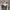 Y2K Army Camisole Longtorso Tops