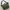 National Geographic Beige Messenger Bag photo 4