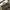 National Geographic Beige Messenger Bag photo 2