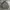 Puffer jacket mr junko photo 1