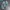 adidas Yung - 1 consortium texas style "snakeskin" photo 2