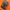 salomon xt6 goretex
 photo 5