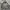 HOODIE ADIDAS TREFOIL photo 1