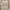BDU US Army 3DCU Original L fit XL photo 5