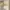 BDU US Army 3DCU Original L fit XL photo 6