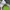 Nike Gorpcore Futurist Sneakers Pria white green photo 5