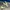 Nike Gorpcore Futurist Sneakers Pria white green photo 3