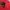Polo Red Small Logo photo 1