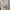 Topi Cap MLB Build Up Size XS-S Full White photo 6